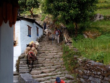 Ghorepani- Poonhill Trek